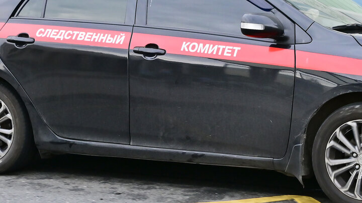 ФОТО: БАРАНОВ ВЛАДИМИР/GLOBALLOOKPRESS
