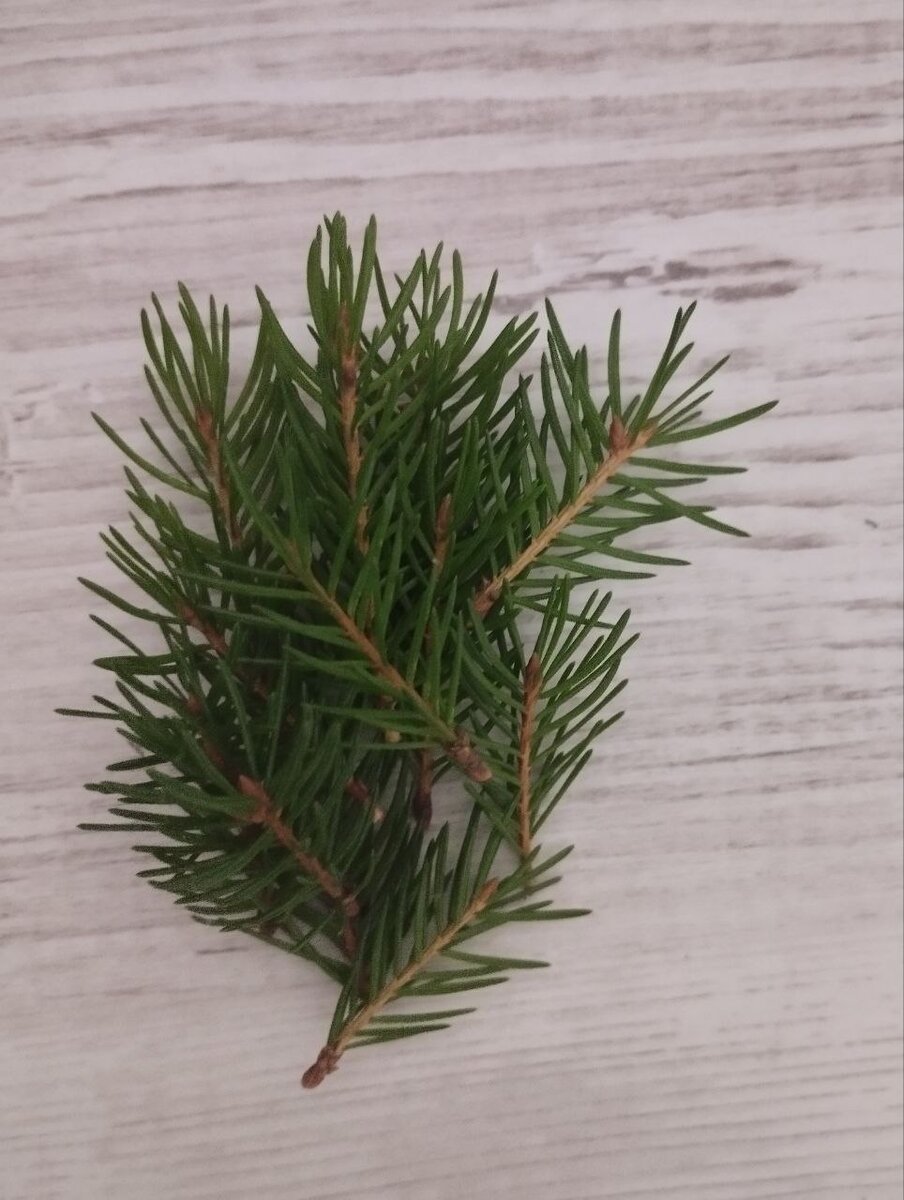 Запах и вкус- как будто в лесу сидишь и отдыхаешь)