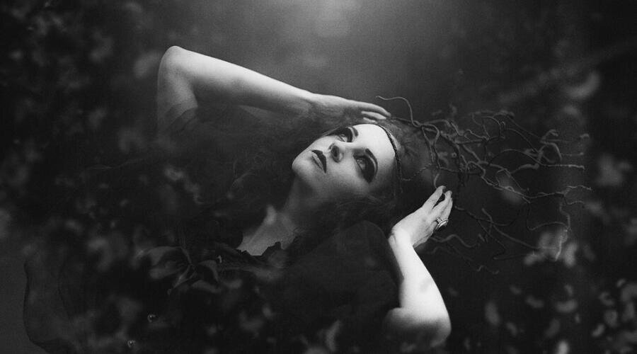    Как устроены вампиры? Фото: по лицензии PxHere