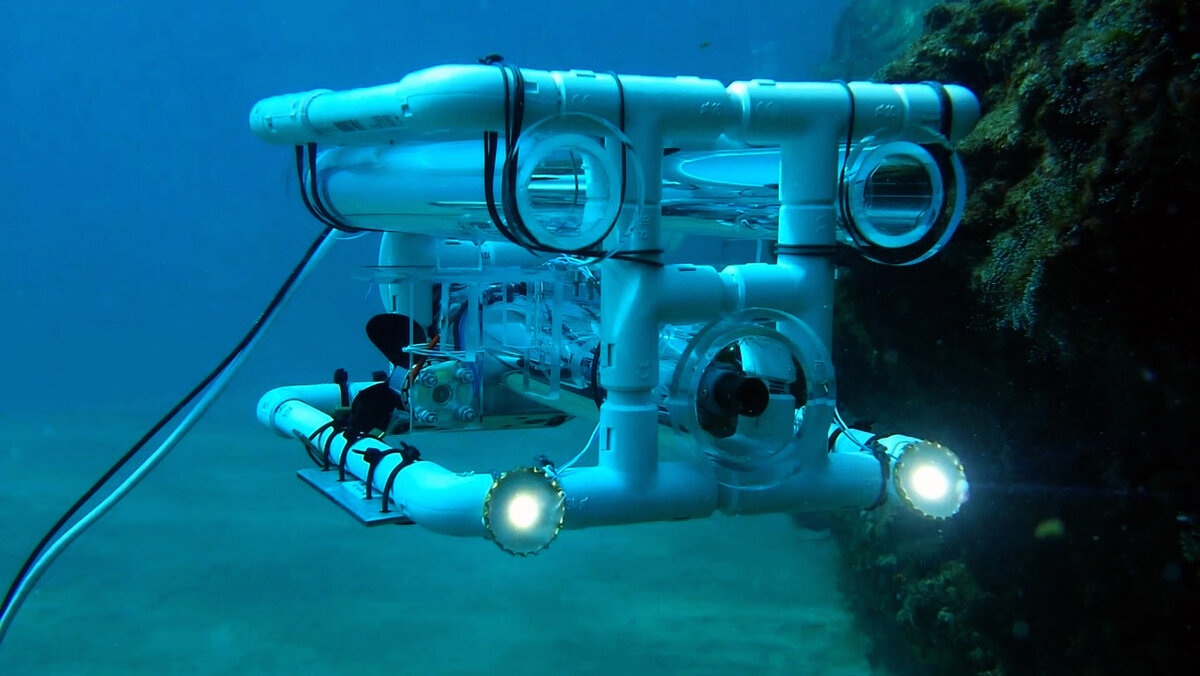 Использование подводных роботов. Подводный аппарат Sea Wasp. ТНПА подводный аппарат Тритон. Подводный телеуправляемый аппарат "Гном". Робот Батискаф.