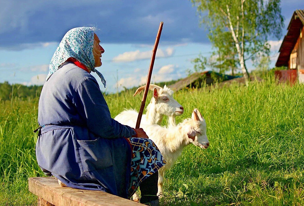 Кому нужна зелёная поляна | Елена Шаламонова | Дзен