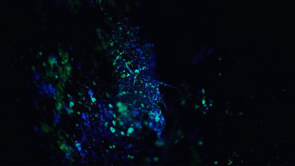 Со съёмок фильма «Эндорфин»