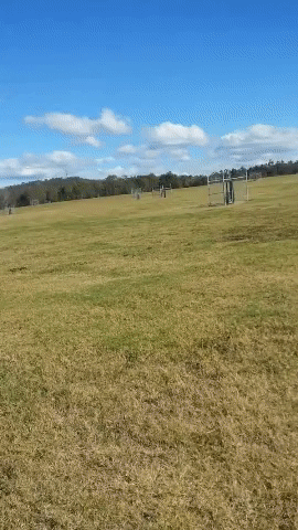 Тем временем в Австралии...