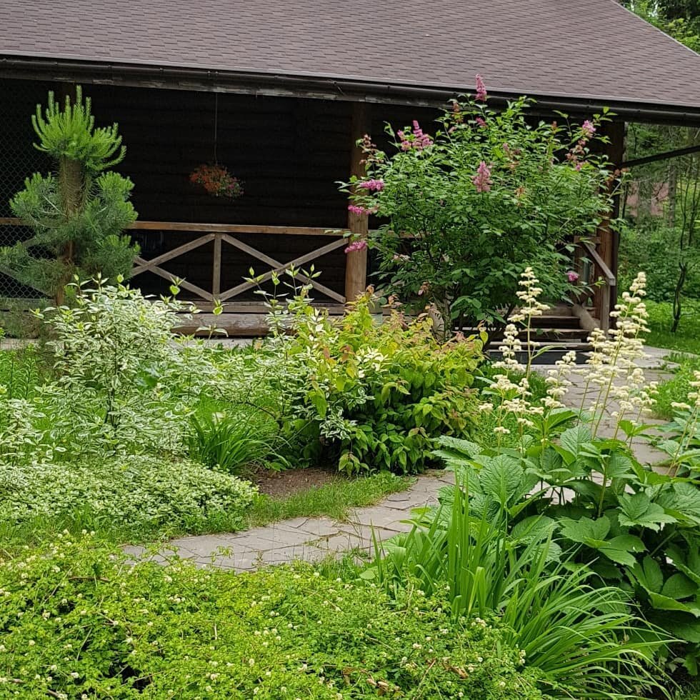 Эта красота при входе в наш коттедж