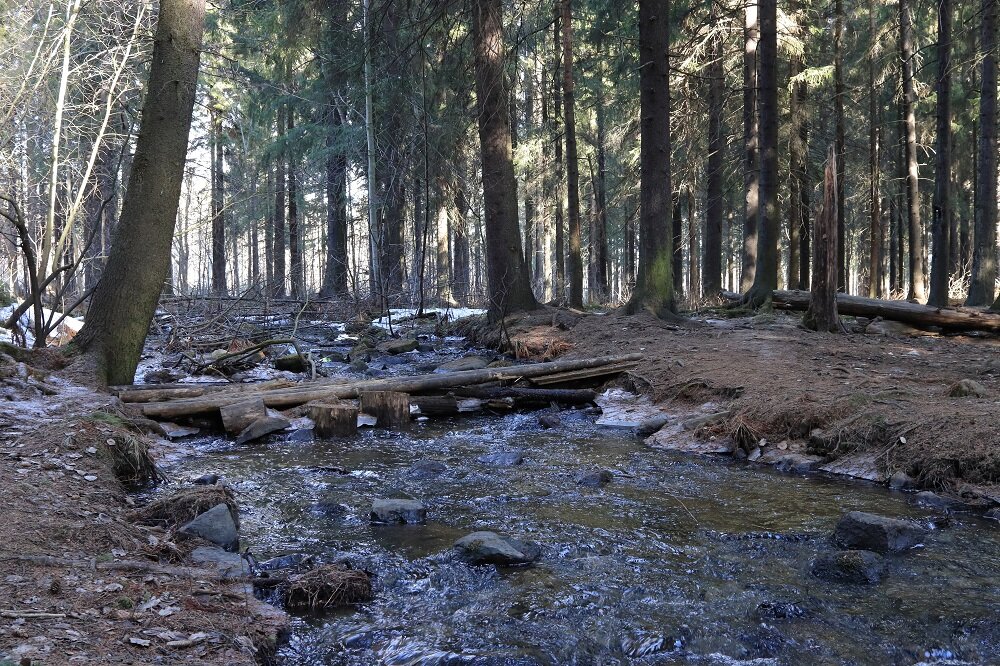 Каменный ручей