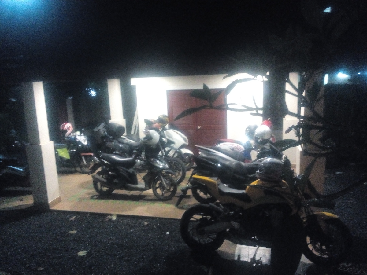 устраивали вечеринки