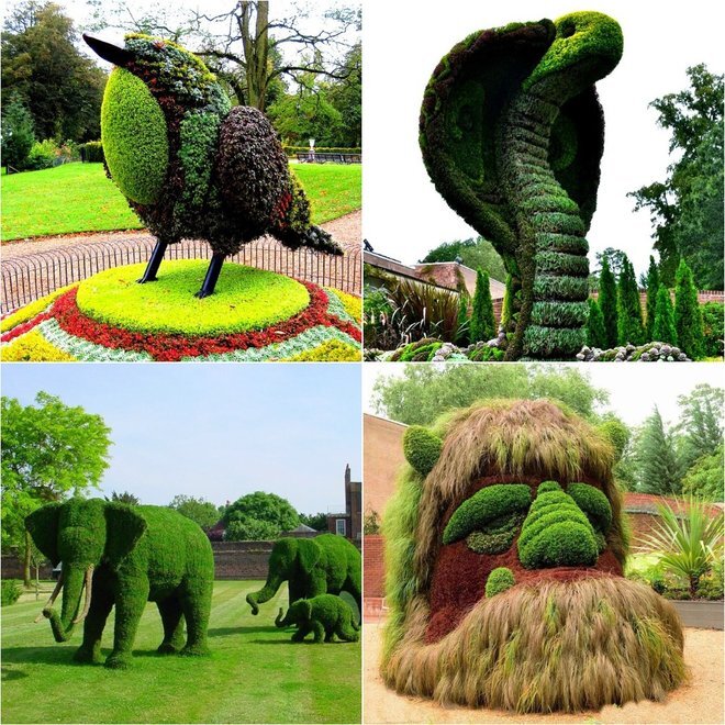 Топиарий идеи | topiary handmade ideas