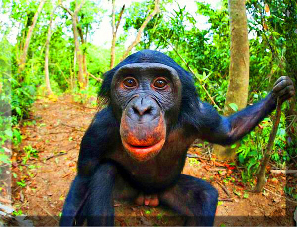 Ну, что? Пошалим?