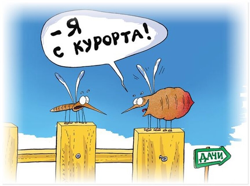 Приколы про санаторий картинки