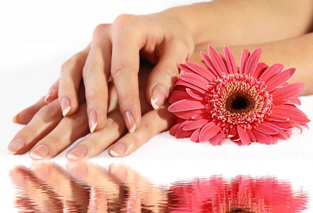 все фотографии взяты из открытой поисковой системы яндекс