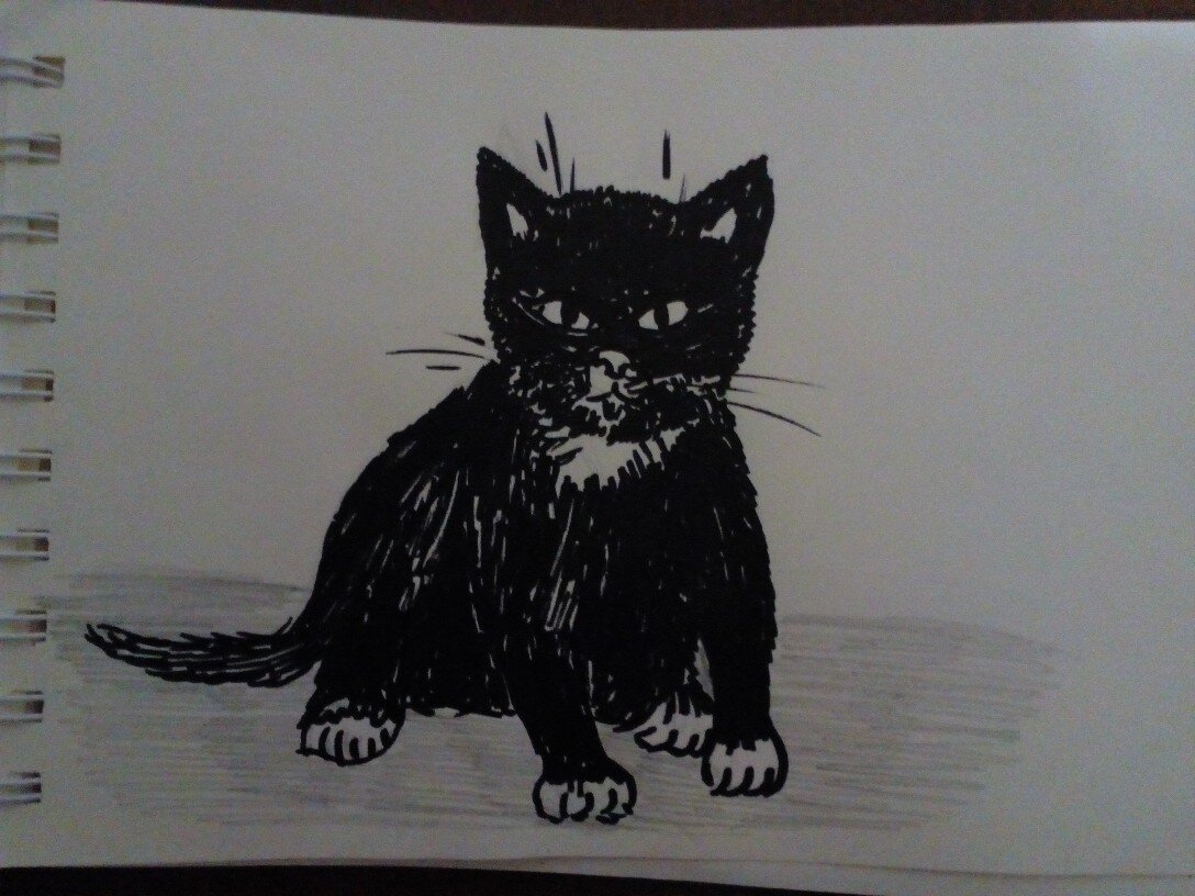 Беззащитный маленький чёрный котёнок, рисунок автора.