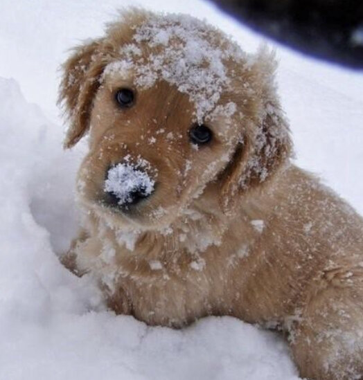 Фото из интернета