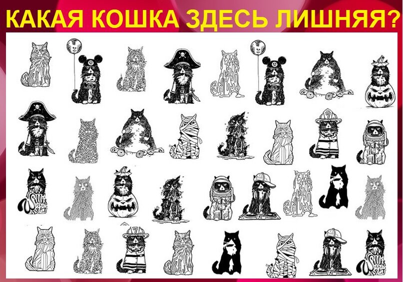 Головоломка на внимание - какая кошка лишняя на картинке?