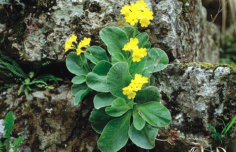 взято из яндекс картинки