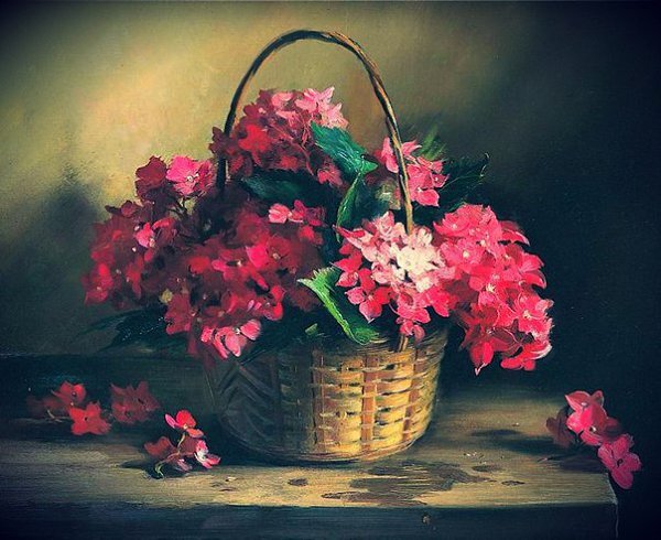      Яндекс. Картинки.