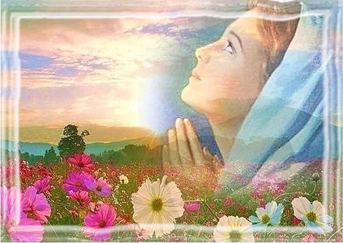 yandex.ru/images (в обработке автора)