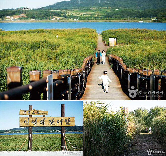 Фото с официального сайта  http://russian.visitmedicalkorea.com/ 