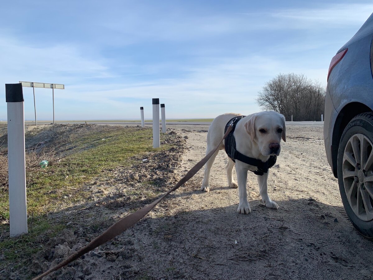 Фото сделанное по пути в Краснодар 