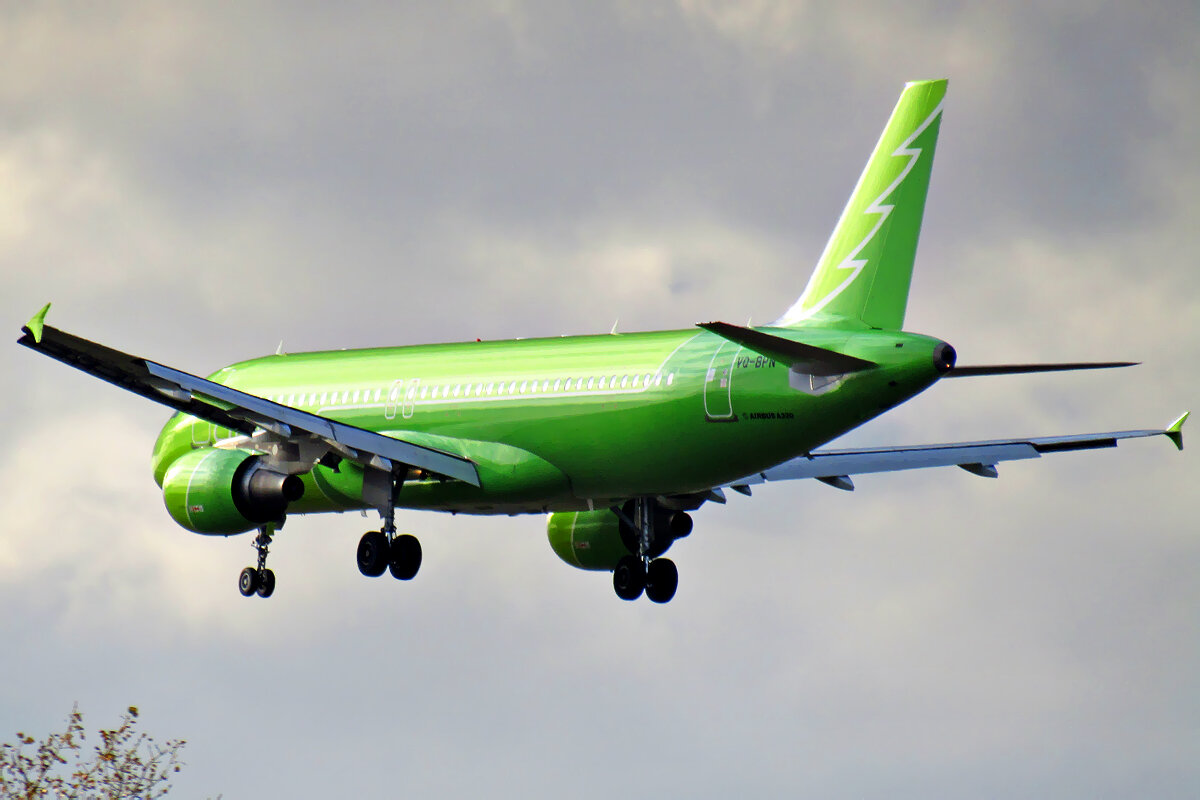 S7 обзор. S7 Airlines ливрея Сибирь. A320 s7 flybywire. Boeing 737-800 s7 новая ливрея. S7 новая ливрея 320.