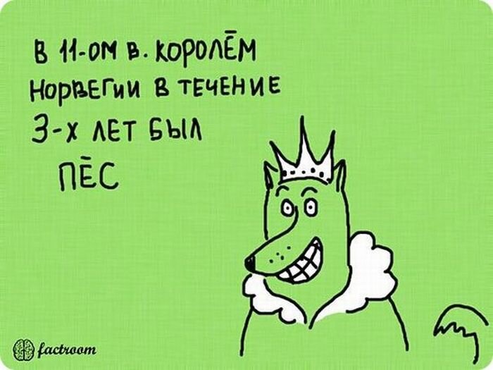 Новые приключения шарика :)