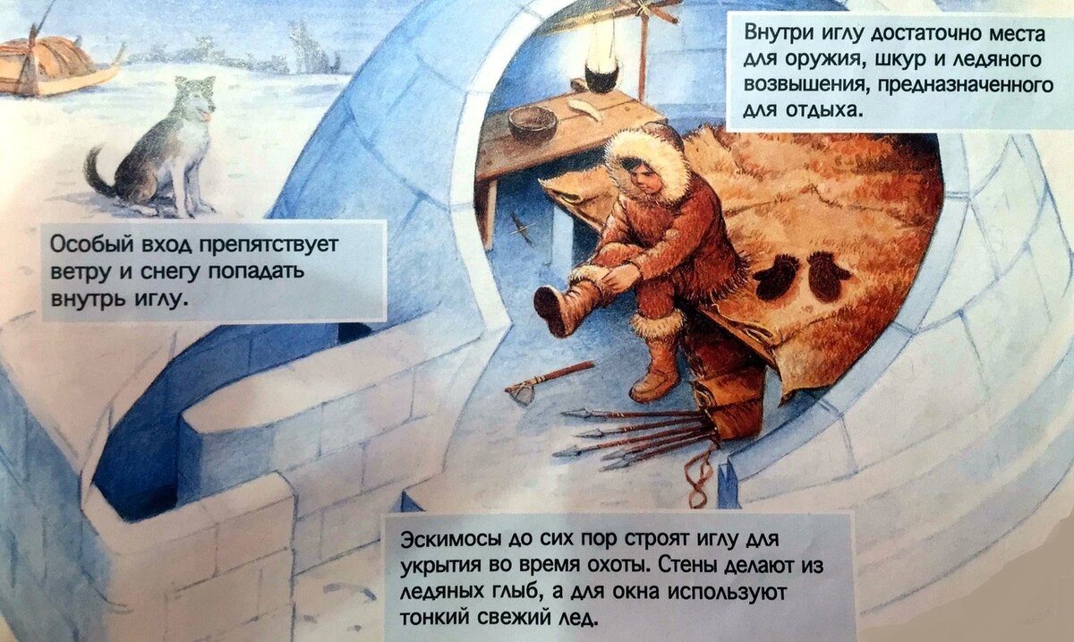 Схема иглу. Устройство иглу. Иглу жилище эскимосов внутри. Как строят иглу Эскимосы. Устройство иглу у эскимосов.