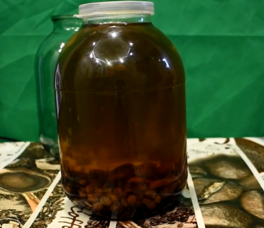 Скорлупа макадамии в самогон рецепт с фото