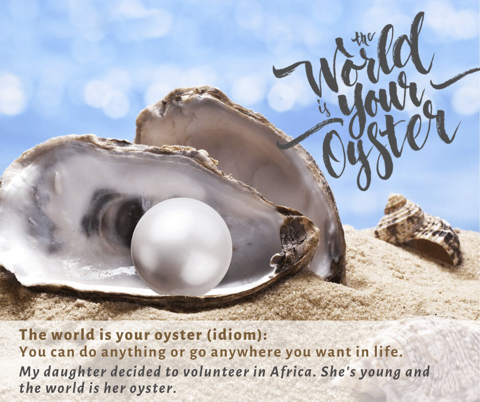 The world is your oyster презентация 8 класс спотлайт