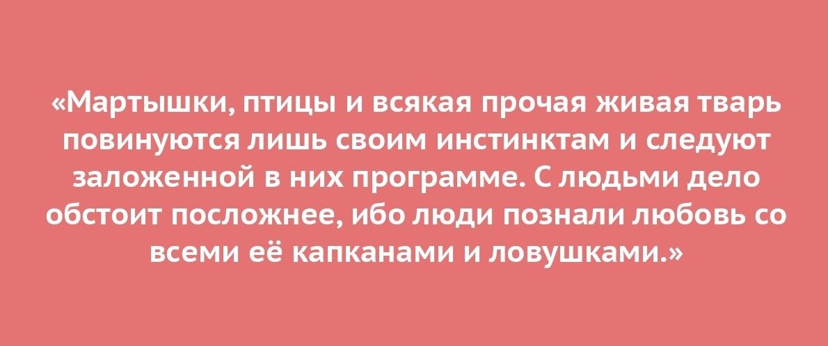 Если тебе нравится статья, поставь лайк или комментарий. 