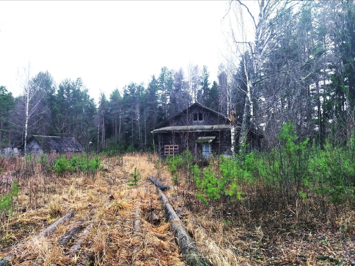 Бывшая хлебопекарня, фото 2019 года
