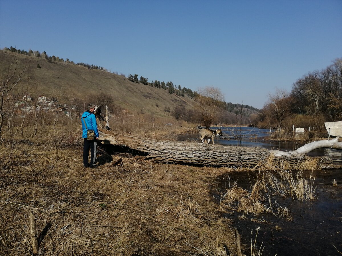 В Фёдоровке. Заливные луга и протоки.