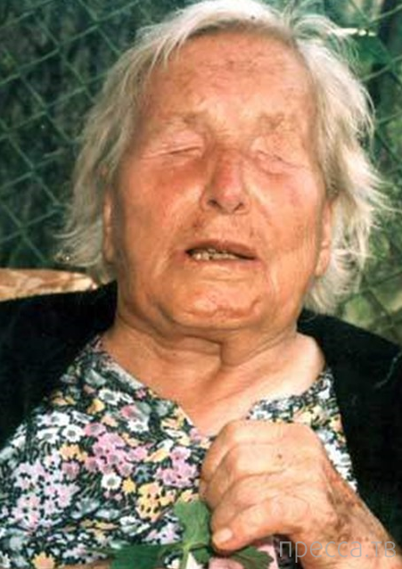 Яндекс картинки