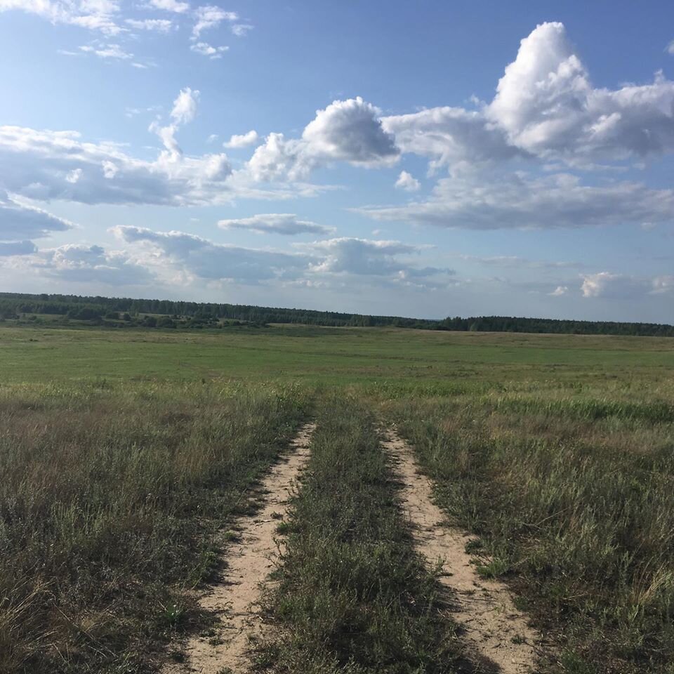 Добро пожаловать в Нечаевку! 