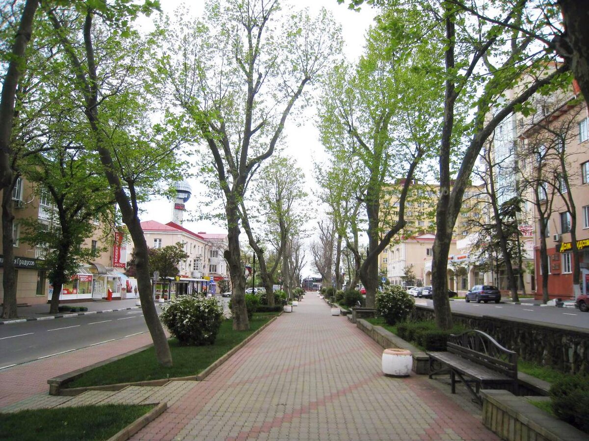 Платановая аллея