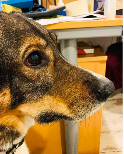 Платону шесть лет, в семье Иисуса он появился из приюта