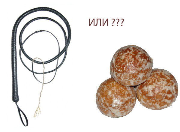 http://www.iaim.ru/knuta-i-pryanika/