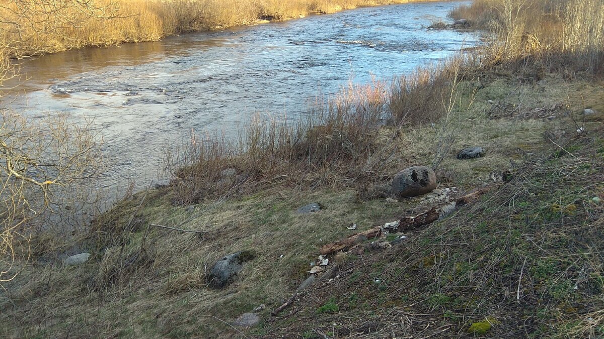 Сделал красивую оригинальную дорожку к дому из камней не вкладывая ни  копейки. | Выжить в деревне | Дзен