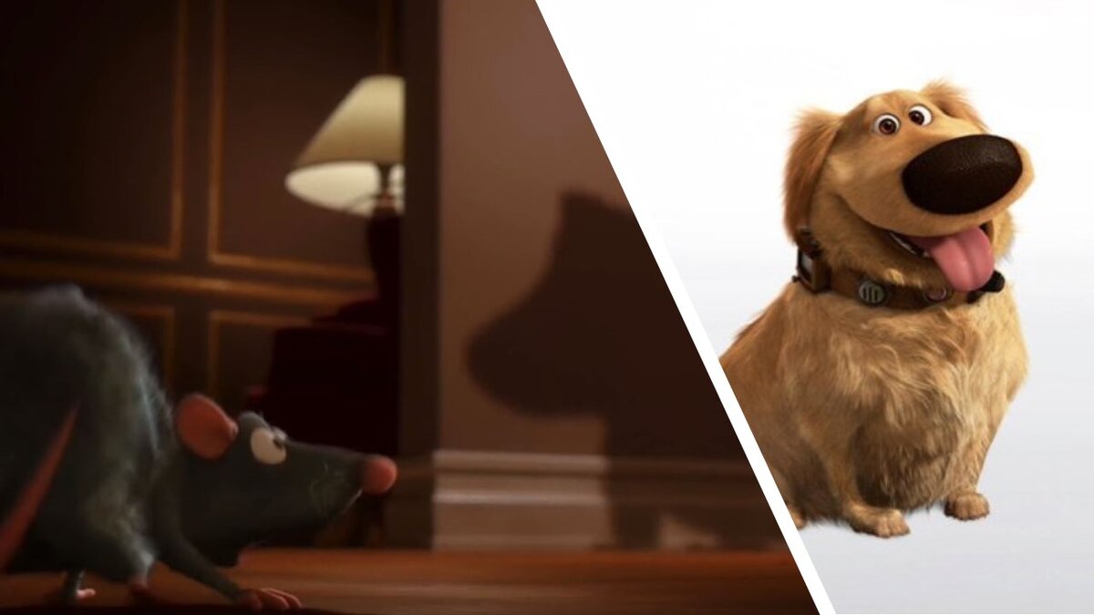 Неожиданная встреча.