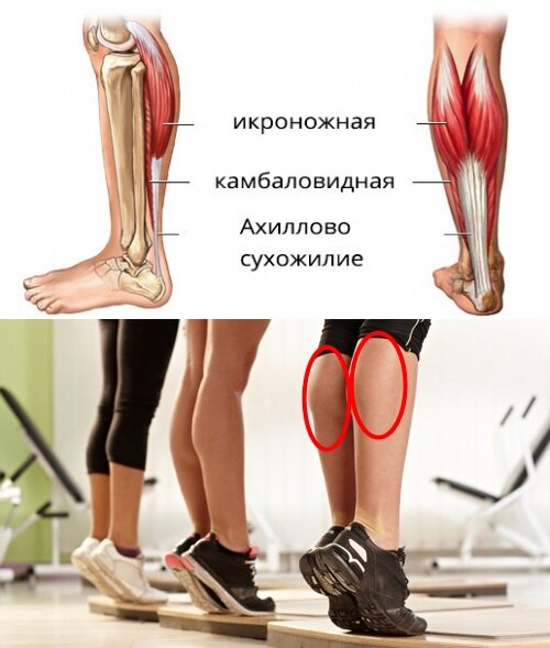 Боль в икроножной мышце: причины, диагностика, лечение в Москве