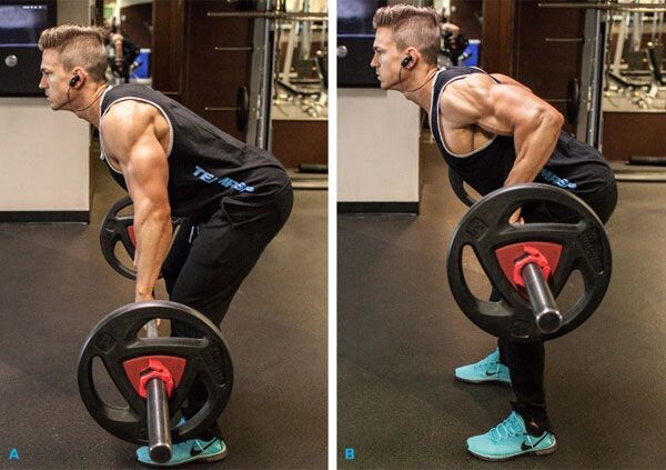 взято с сайта: FitNavigator.ru 