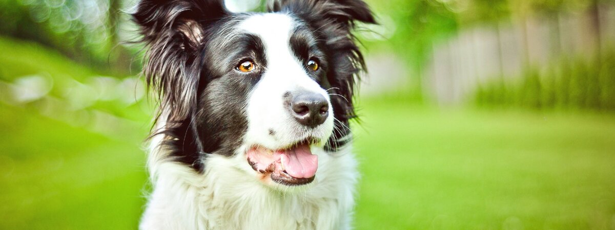 источник яндекс картинки