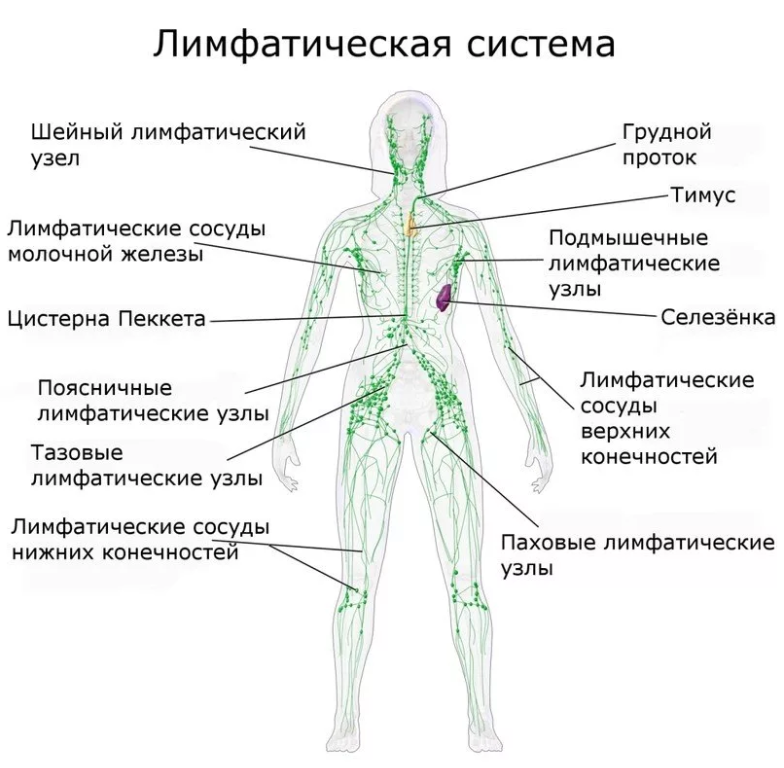 Наша задача, простимулировать движение к самым крупным узлам