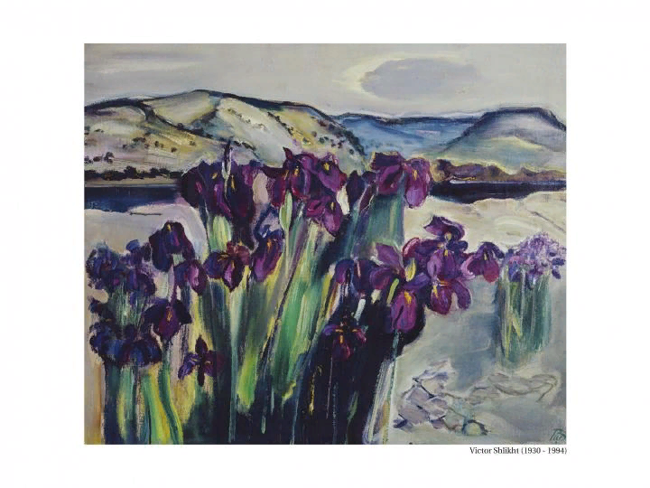 Цветение ириса. Виктор Шлихт. холст .масло.