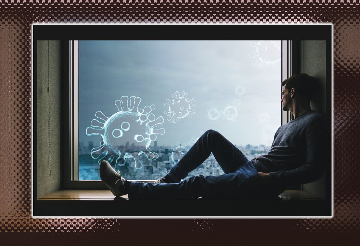 Фото компиляция автора из бесплатных картинок