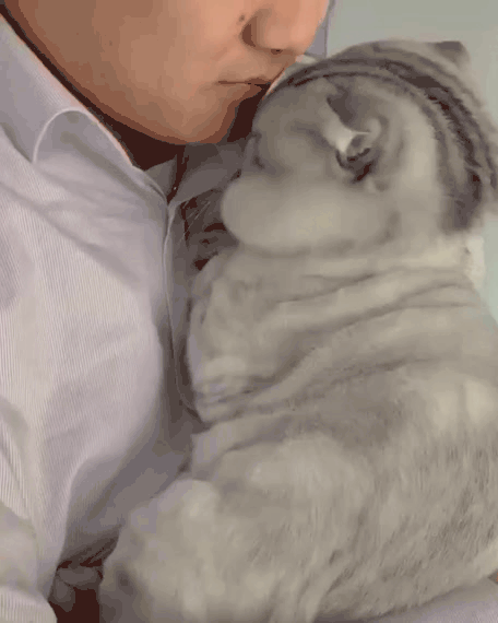 Нажми на картинку, чтобы посмотреть видео. Источник: Ютуб.