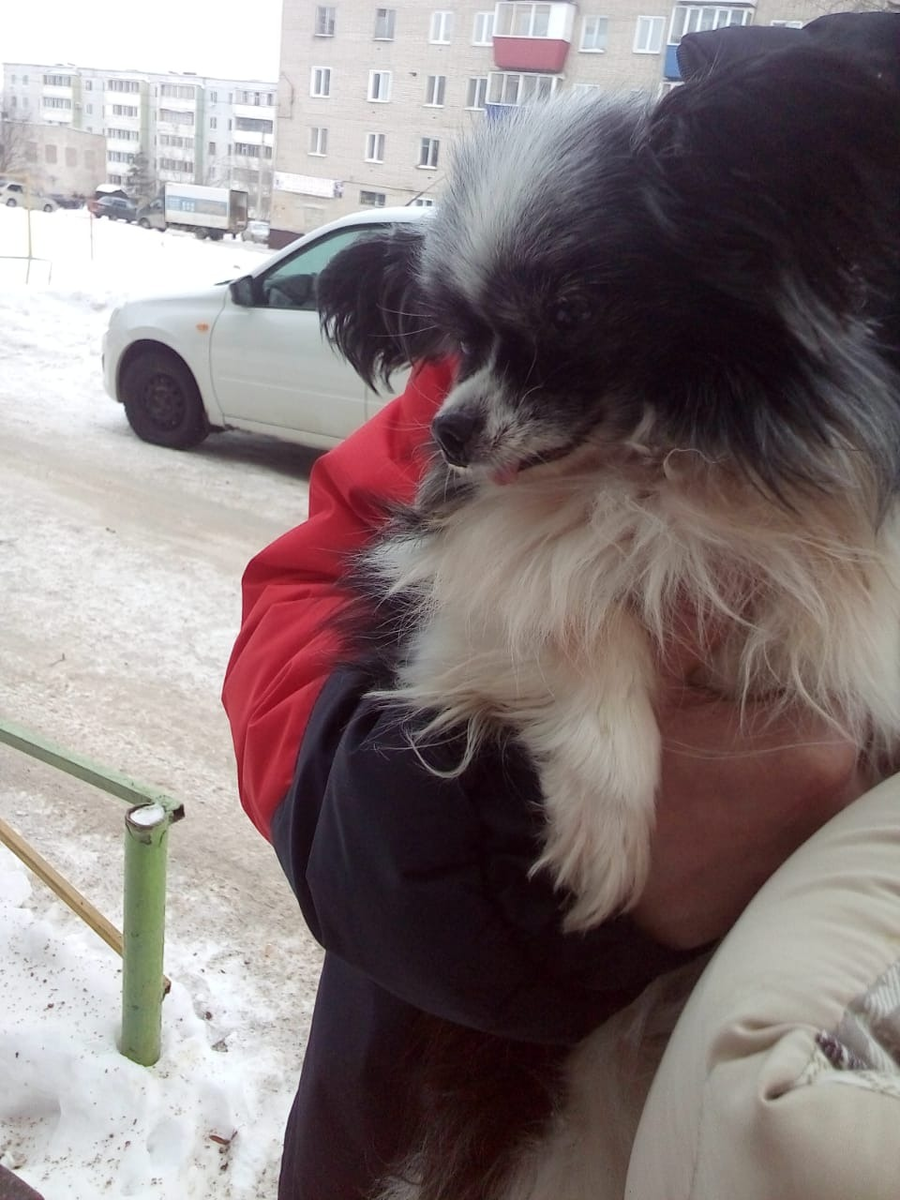 Отдают нам Мотю 