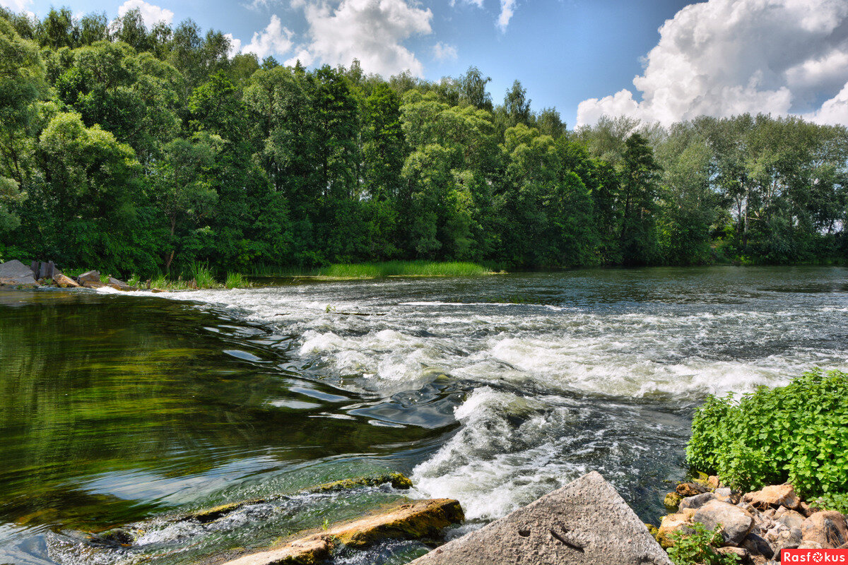 Фото р. Речка Сейм Курск. Река Сейм Курская. Сейм (река) реки Курской области. Река семь Курская область.