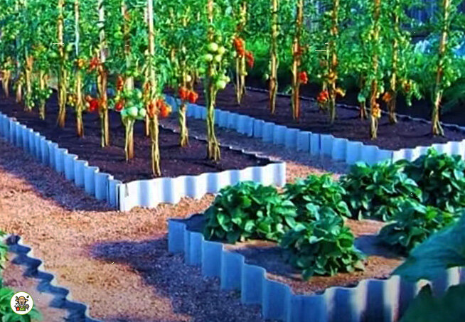 Ограждения грядок из шифера