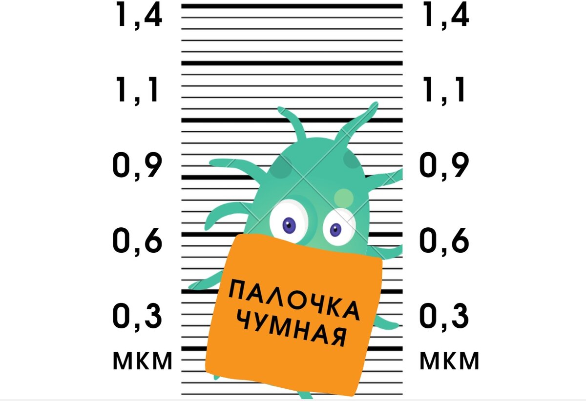 Yersinia pestis - чумная палочка - инфекционный агент чумы.