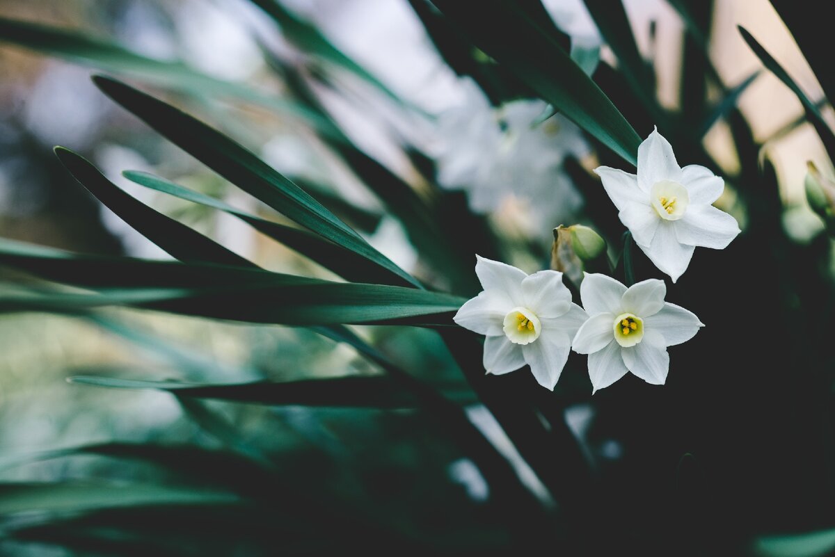 Источник - unsplash.com