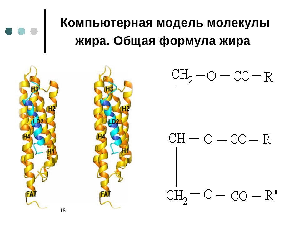 Общая формула молекулы. Строение жиров общая формула. Химическая формула молекулы липидов. Химическая формула жиры+молекула. Молекула жира формула структурная.